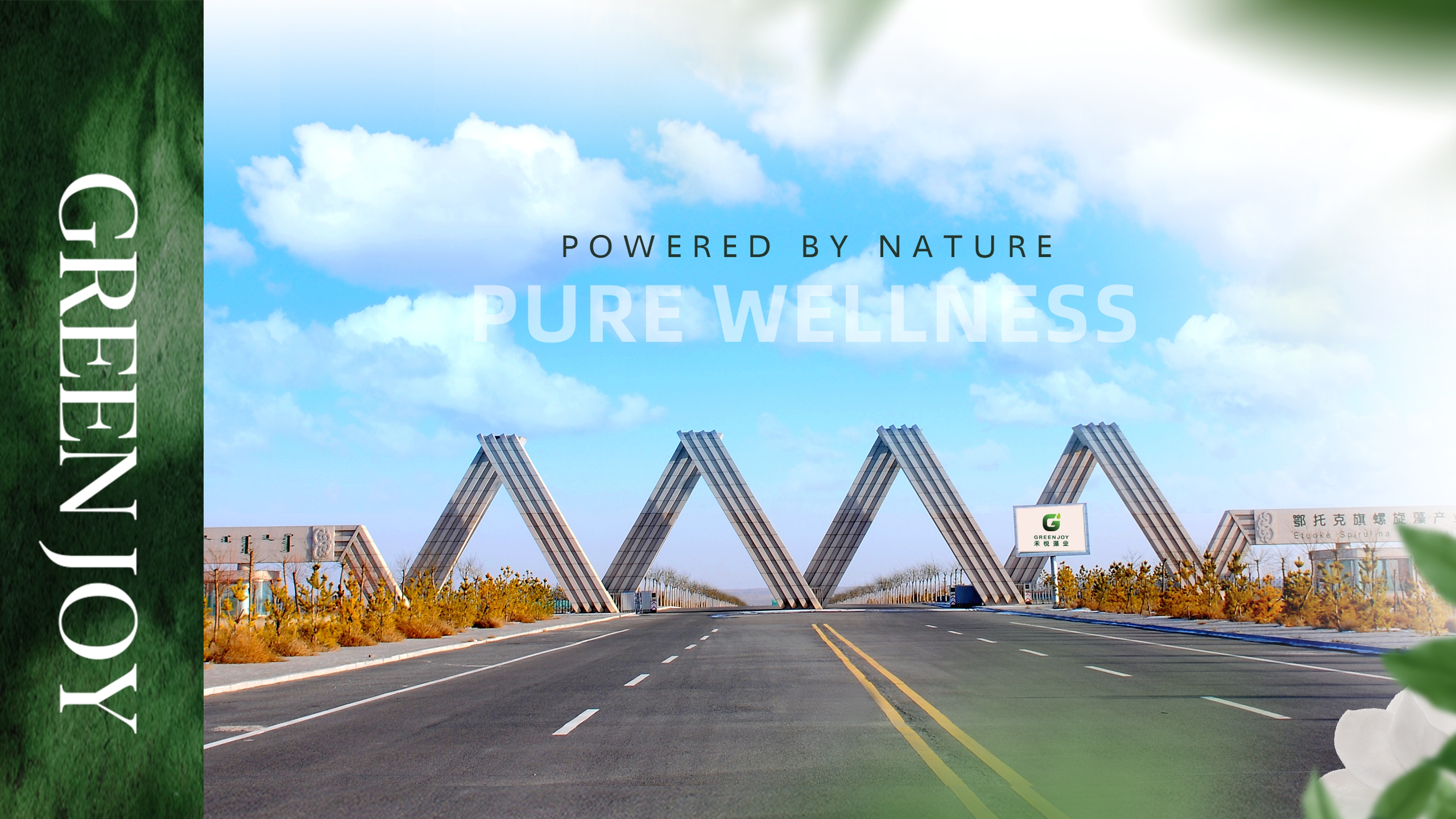 Pure Greenjoy Algae Powers Worldwide Wellness